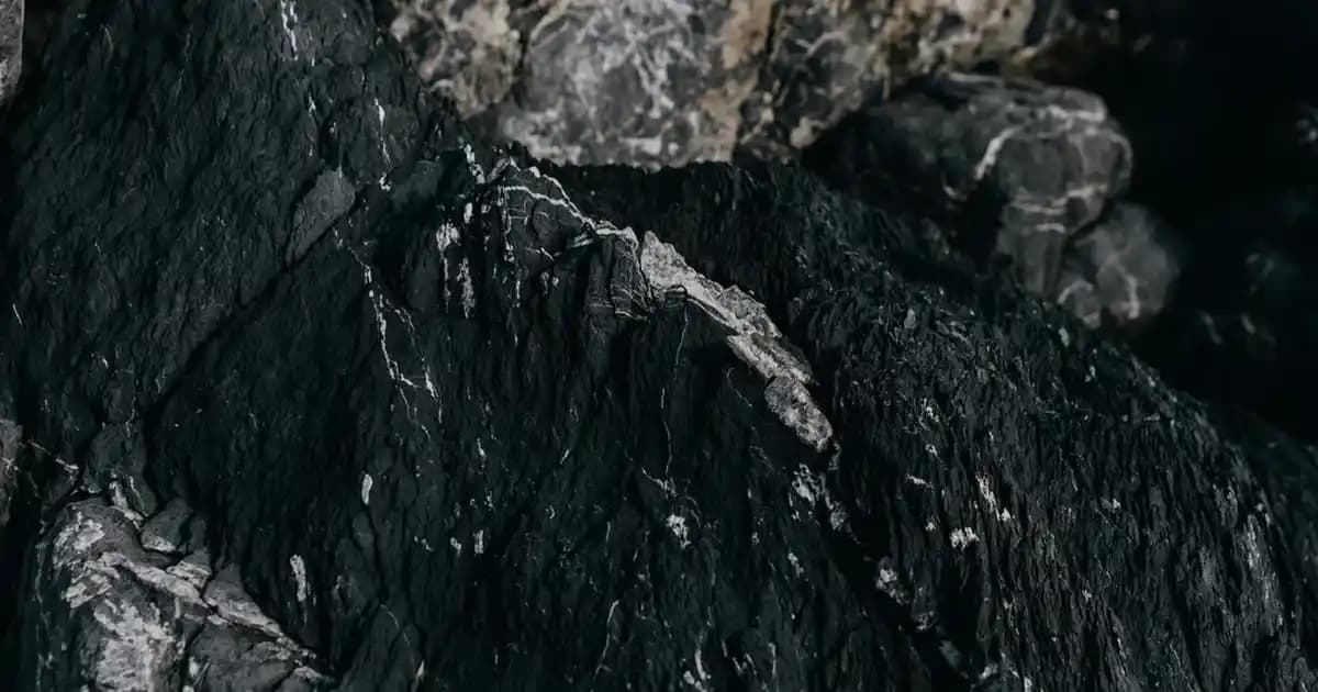 iPhone 14 için şeffaf silikon kılıf: estetik ve dayanıklı koruma sağlayan tasarım