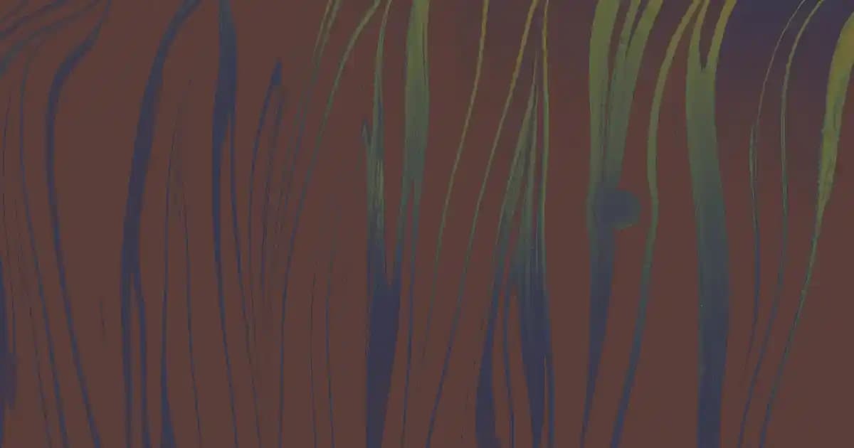 Kablosuz Ev Süpürgeleri: Teknoloji ve Kullanım Kolaylığını Bir Araya Getiren Çözümler