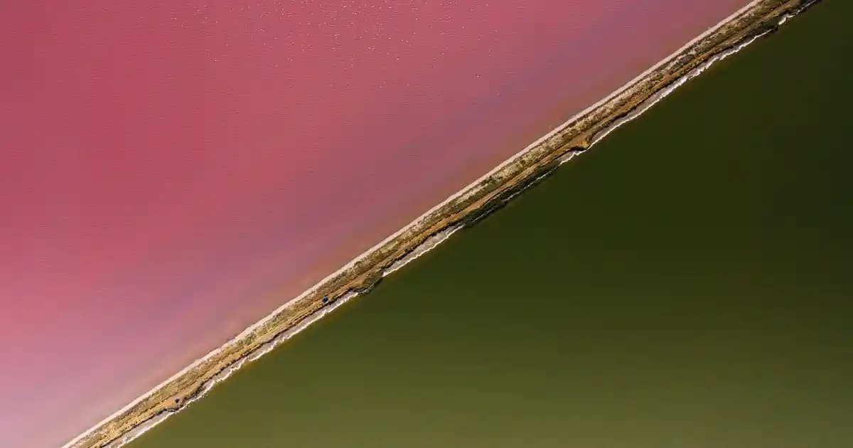 Kişisel Bakımda Konfor ve Kolaylık Sağlayan Modern Tıraş Cihazları Özellikleri ve Avantajları