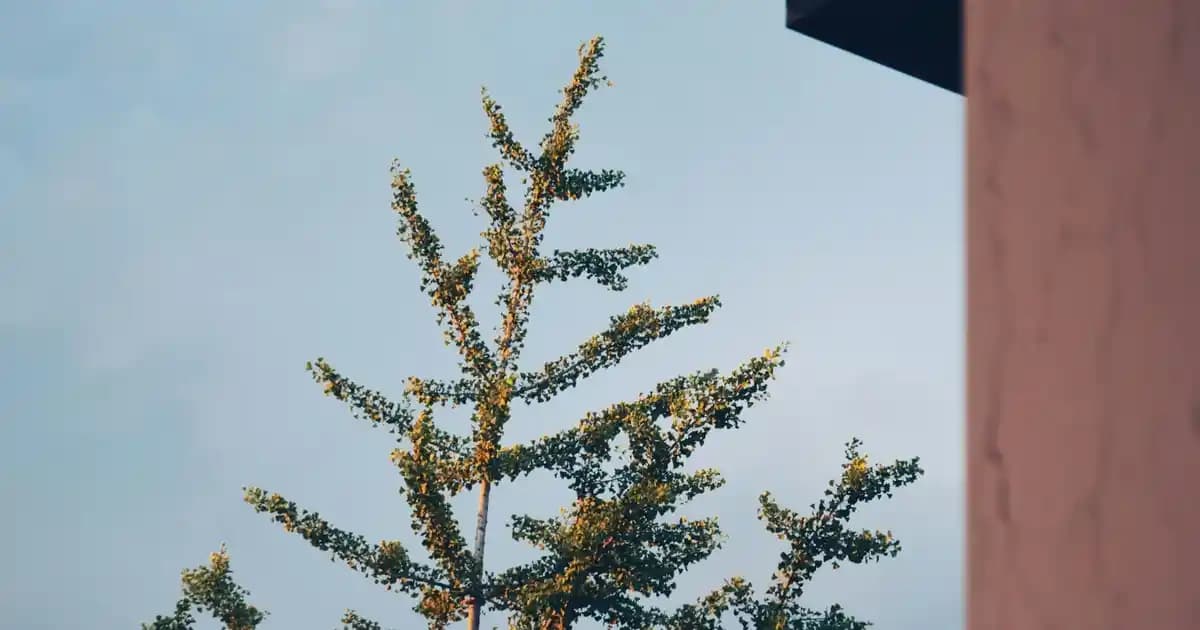 Logitech G Serisi Oyun Fareleri: Performans, Özellikler ve En Uygun Model Seçenekleri