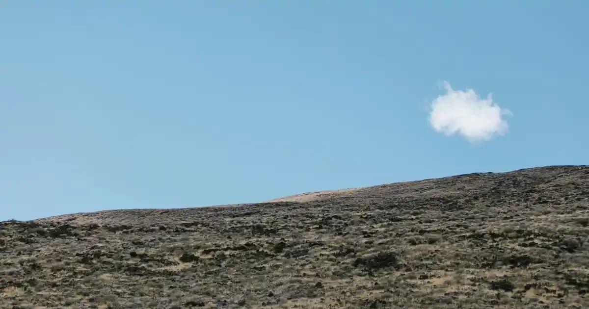 Logitech G Serisi Oyuncu Fareleri: Performans ve Ergonomi Özellikleri