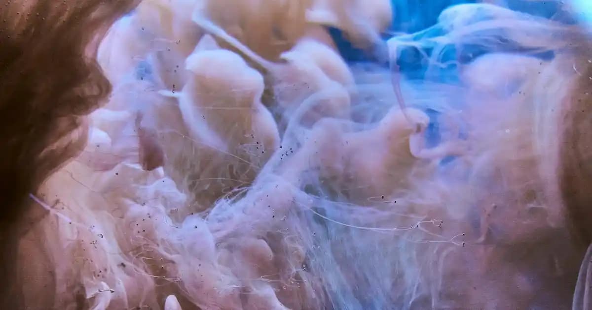 Mikrofiber Mopların Temizlikteki Avantajları ve Kullanım Alanları