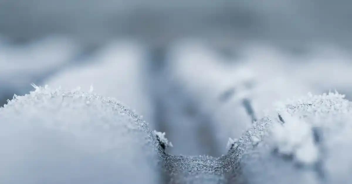 Philips Dikey Süpürge Modelleri ve Karşılaştırması: En İyi Seçenekler ve Özellikler