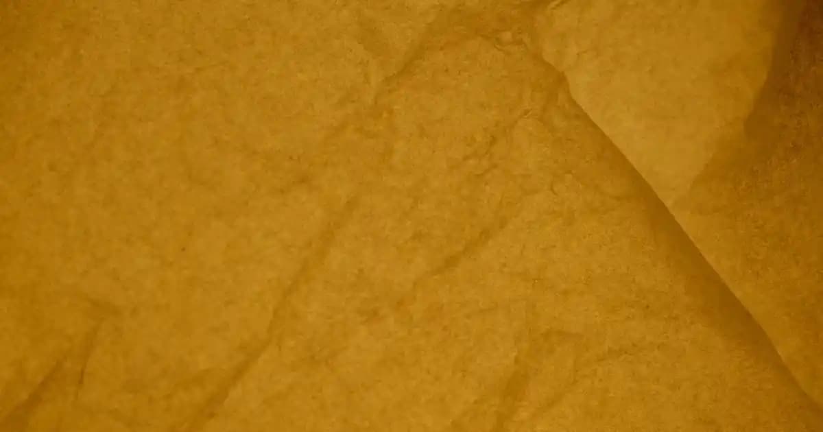 Samsonite Dizüstü Bilgisayar Taşıma Çantası: Dayanıklılık ve Fonksiyonellik Özellikleri