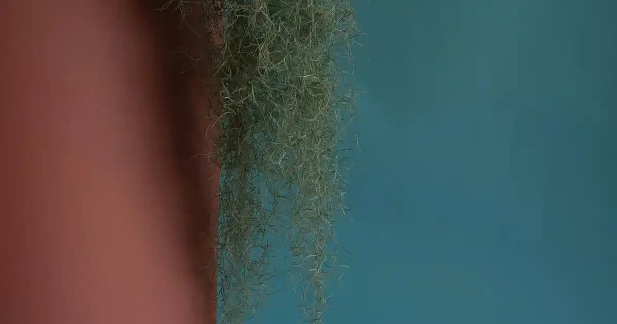 Samsung 55Q67D ve 75DU7100 Modelleri: Teknik Özellikler ve Kullanım Alanları Analizi