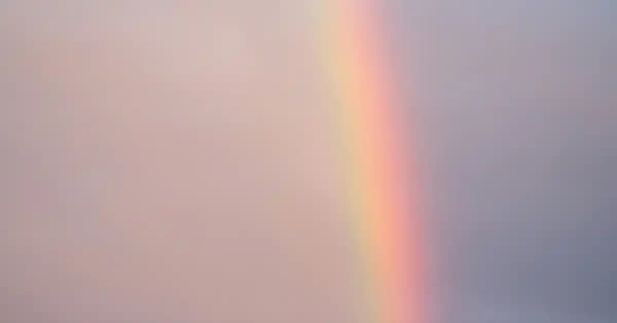 Samsung Galaxy A32 İçin Yüksek Koruma Sağlayan Dayanıklı Telefon Kılıfları