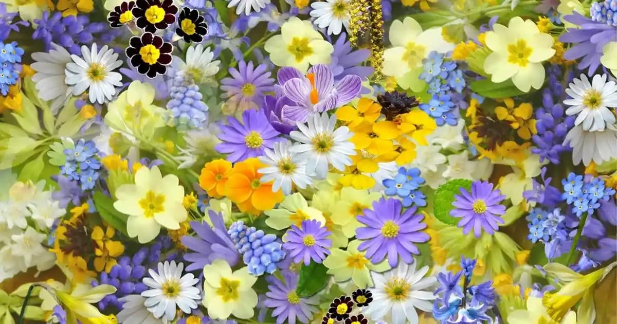 Samsung Galaxy S21 FE 128GB Akıllı Telefon: Yüksek Performans ve Şık Tasarım