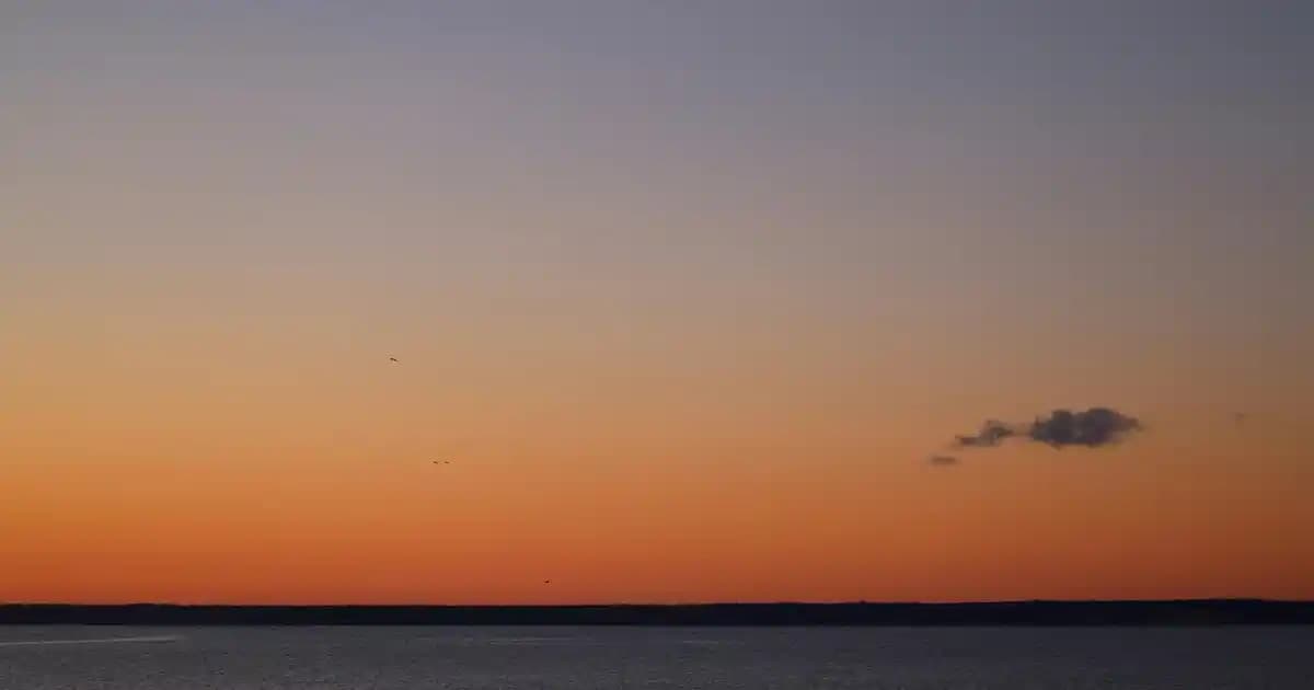 Samsung’un 5G teknolojili akıllı telefonları: Hız, bağlantı ve yeniliklerle donatılmış mobil deneyim