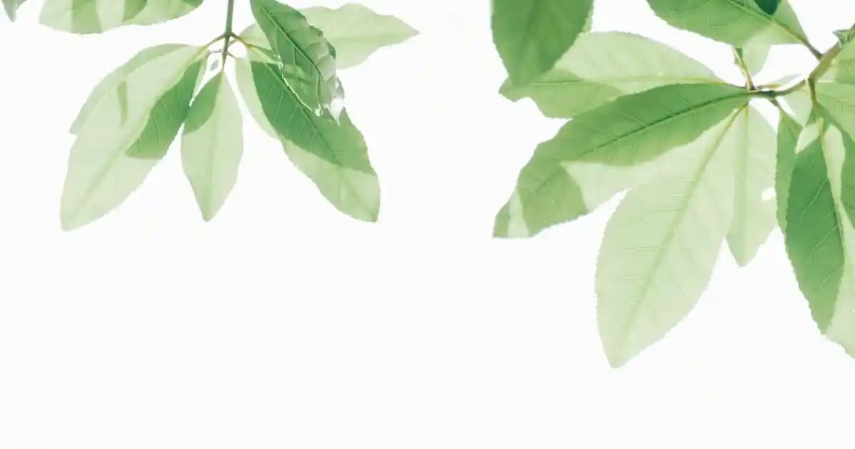 Sensörlü Kulaklıklar ve Yüksek Kaliteli Kayıt Özellikleri Hakkında Detaylı Bilgi