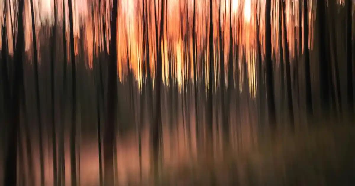 Ses Kalitesi ve Modern Tasarıma Sahip Kulaklıklar: Güncel Trendler ve Seçim Kriterleri