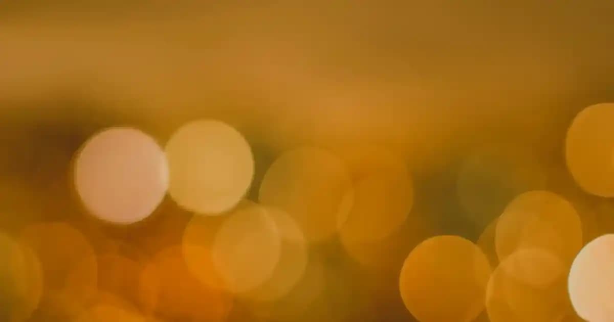 Siyah Renkli Su Sebili Modelleri ve Seçim Rehberi