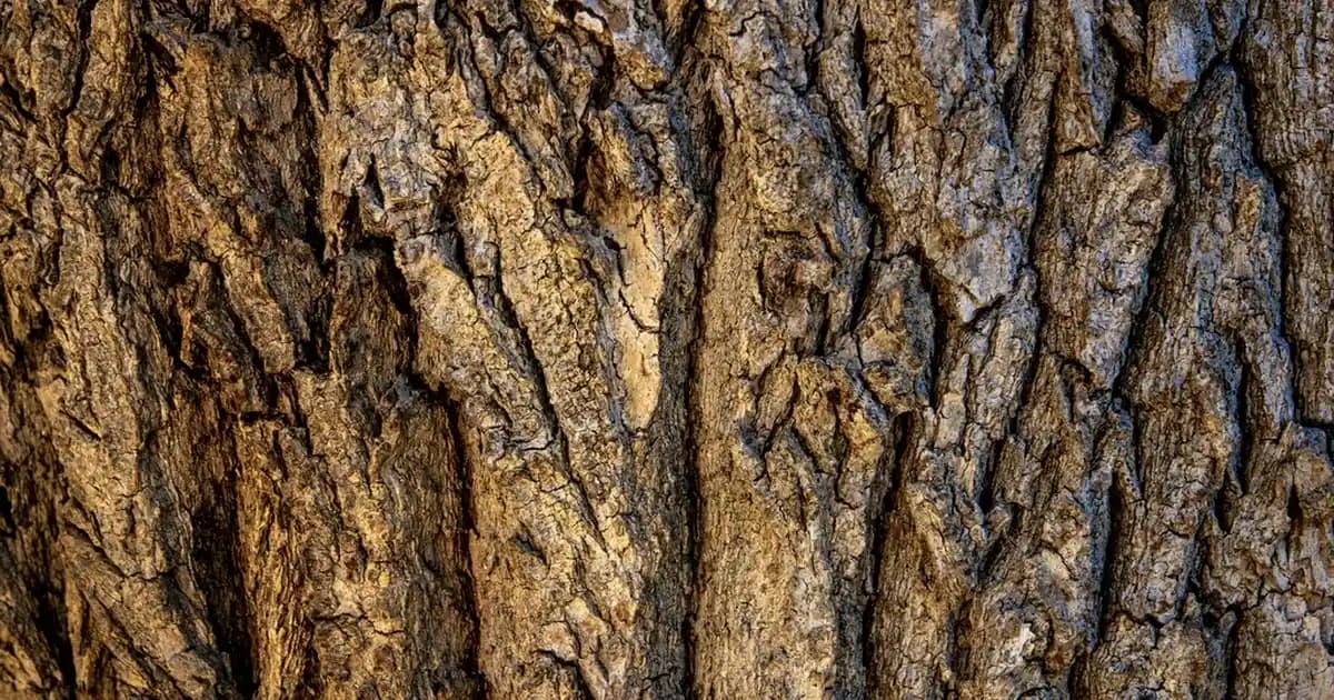 Taşınabilir Hoparlörlerde Uzun Ömürlü Malzeme Seçimi ve Dayanıklılık Faktörleri