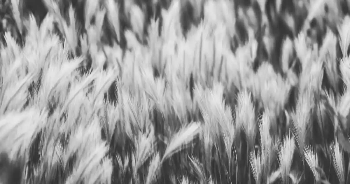 Teknosa Elektronik Cihaz İade Prosedürleri ve Koşulları Hakkında Bilgilendirme