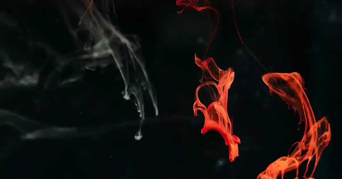 Toz Torbasız Elektrikli Süpürgeler ve VC07R302MVR Modeli Hakkında Detaylı Bilgi