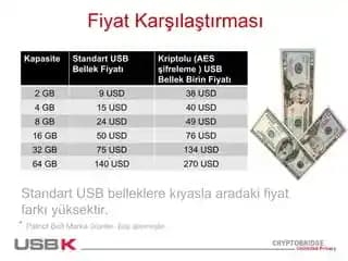 USB Bellek Seçiminde Kapasite ve Performans Kararını Etkileyen Faktörler