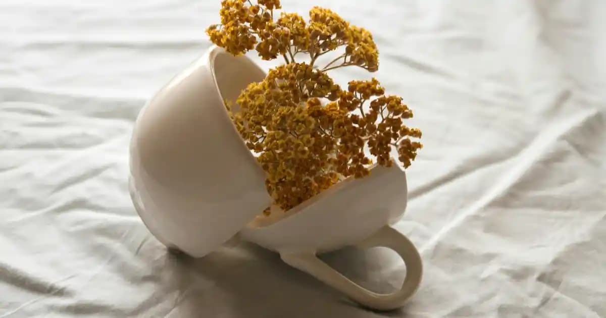 USB Ses Kayıt Cihazları: Özellikleri, Kullanım Alanları ve Bağlantı Tipleri