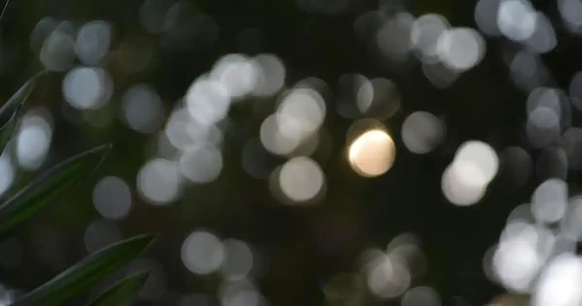 USB ve SATA HDD/SSD Kutuları ile Veri Aktarımı ve Depolama Çözümleri Analizi