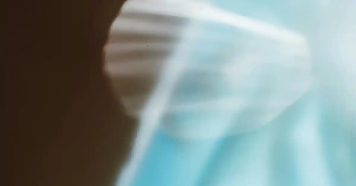 Üstün Performanslı Akıllı Telefonların Özellikleri ve Kullanıcı Beklentileri Analizi