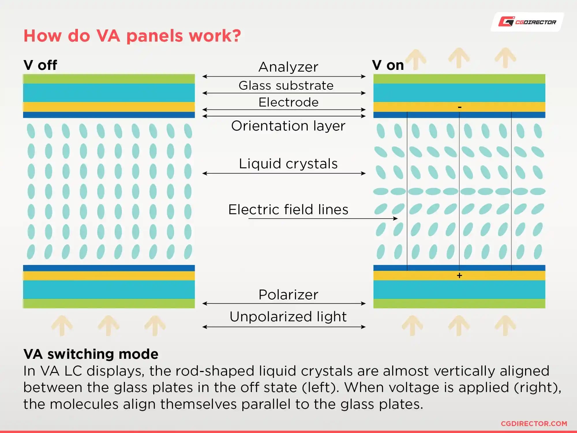 VA Panel ve Kavisli Tasarımlı Monitörlerin Özellikleri ve Kullanım Avantajları