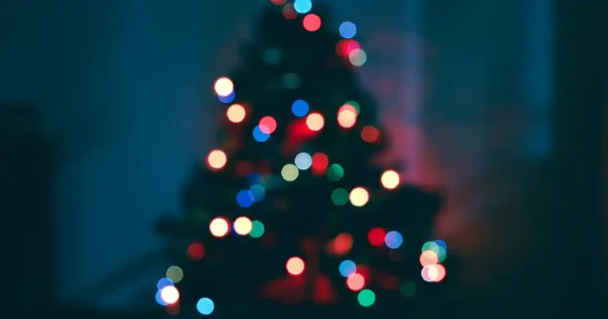 Wozlo 2.5 İnç USB SATA Kutuları ile Veri Depolama ve Taşıma Çözümleri