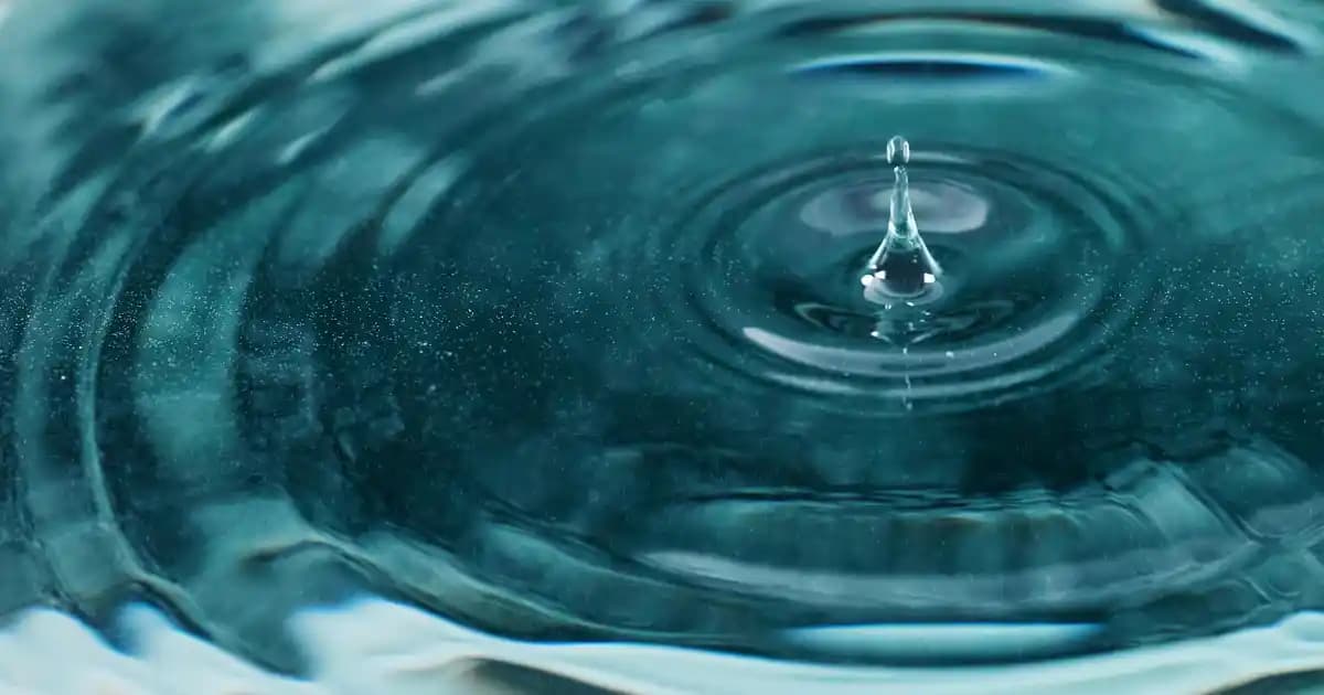 Xiaomi Mi Band 7 Gelişmiş Sağlık Özellikleri ve Teknolojik Yenilikler Rehberi