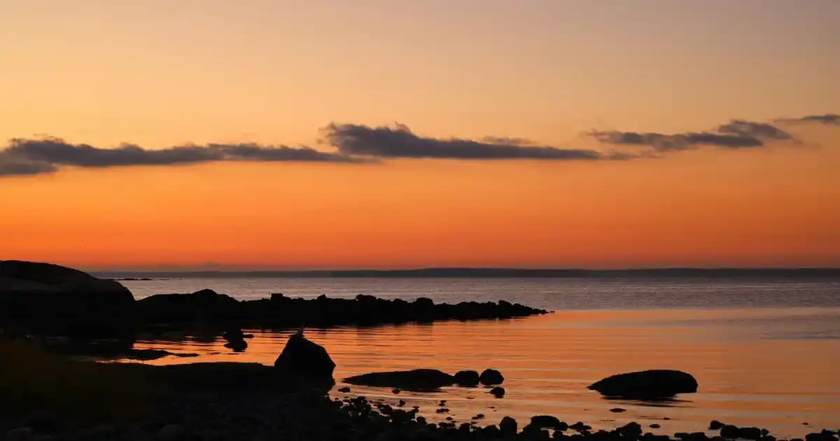 Xiaomi Redmi 13C ve Reeder S19 Max Pro Modellerinin Teknik Özellikleri ve Kullanım Alanları