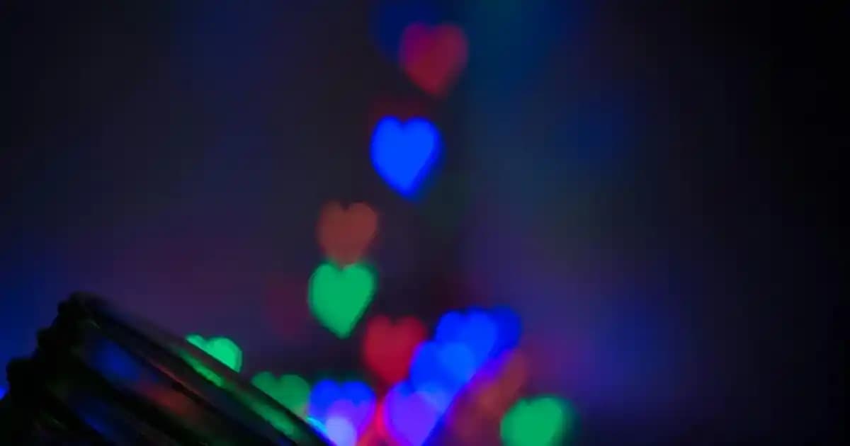 Y36 ve Y28 Akıllı Telefon Modellerinin Detaylı Karşılaştırması