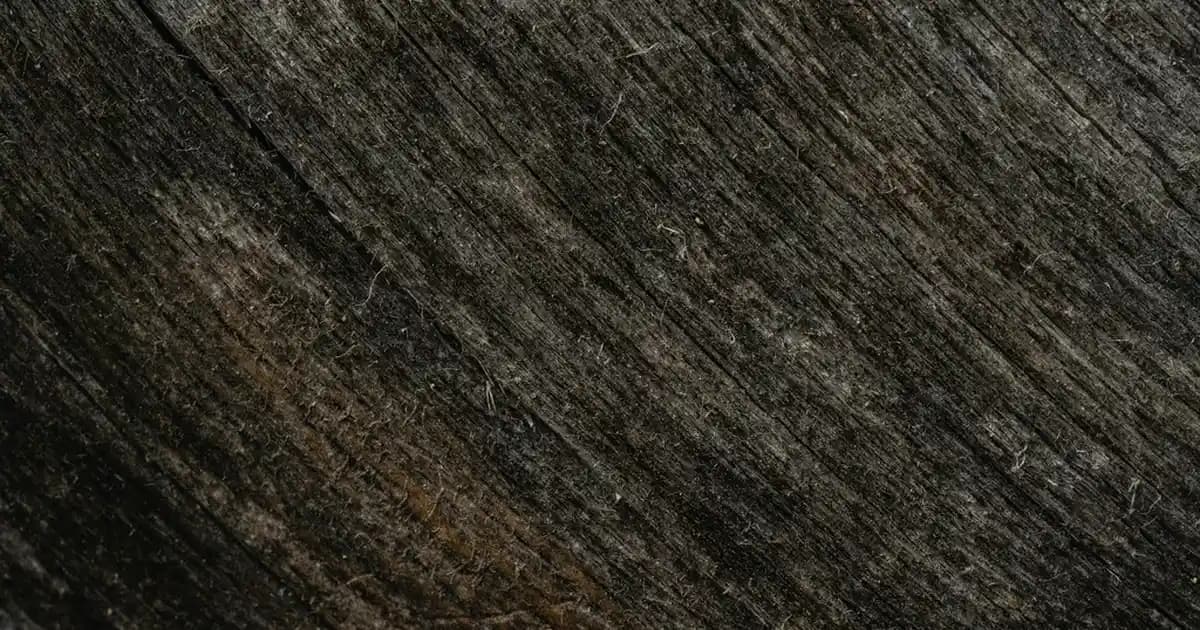 Yüksek Performans Dijital Yayın Çözümü: Günümüz Teknolojisinin Temel Taşı