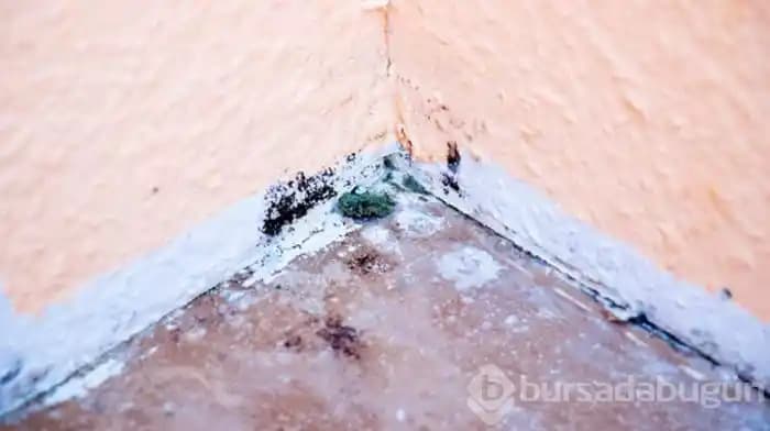 Apartmanlarda Nem Problemleri ve Dehumidifikatör Kullanımında Etkili Nem Kontrolü Yöntemleri