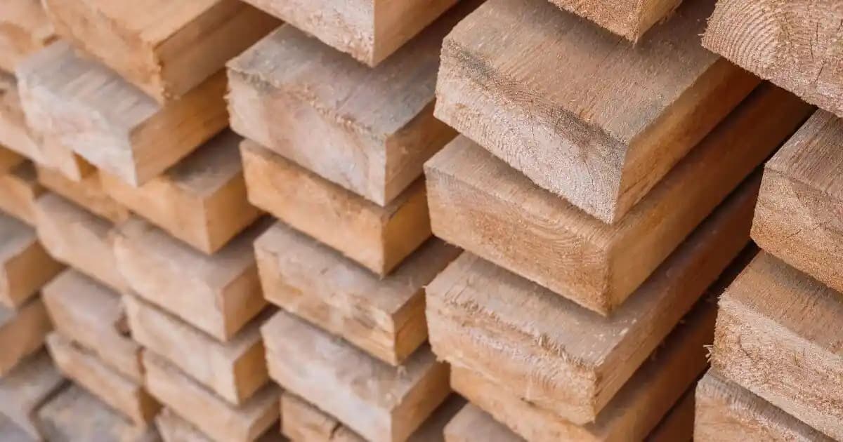 Kendiliğinden Yoğunlaşan Ahşap Teknolojisi: Metal Alternatifi Olarak Yeni Bir Yapı Malzemesi