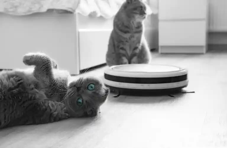 2026 Yılında Robot Süpürge Seçimi: Fiyat, Temizlik Performansı ve Güvenilirlik Kriterleri