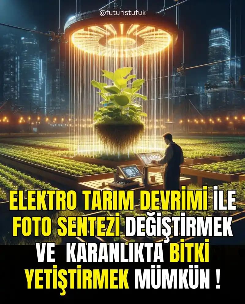 Elektro-Tarım: Fotosentezsiz Bitki Yetiştirmenin Tarihi, Uygulamaları ve Geleceği