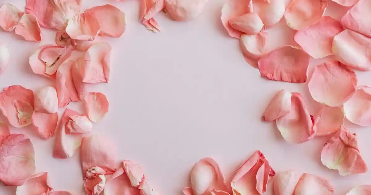 Evcil Hayvan Tüylerinin Hava Temizleyicilerle Yakalanması ve Etkinliği Hakkında Bilgi