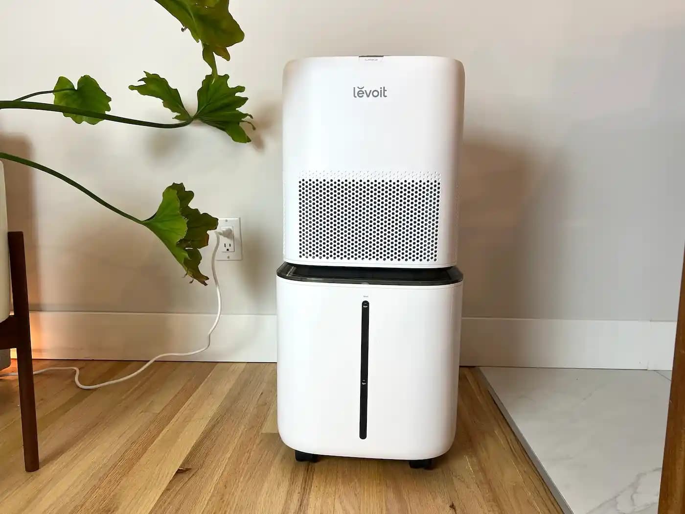 Levoit Superior 6000s ve 6000s 2.0 Modelleri Arasındaki Temel Farklar ve Kullanıcı Deneyimleri