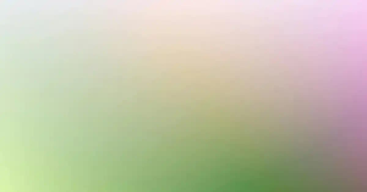 Orta Segment Robot Süpürge ve Paspas Kombinasyonları: Modeller, Özellikler ve Kullanıcı Deneyimleri