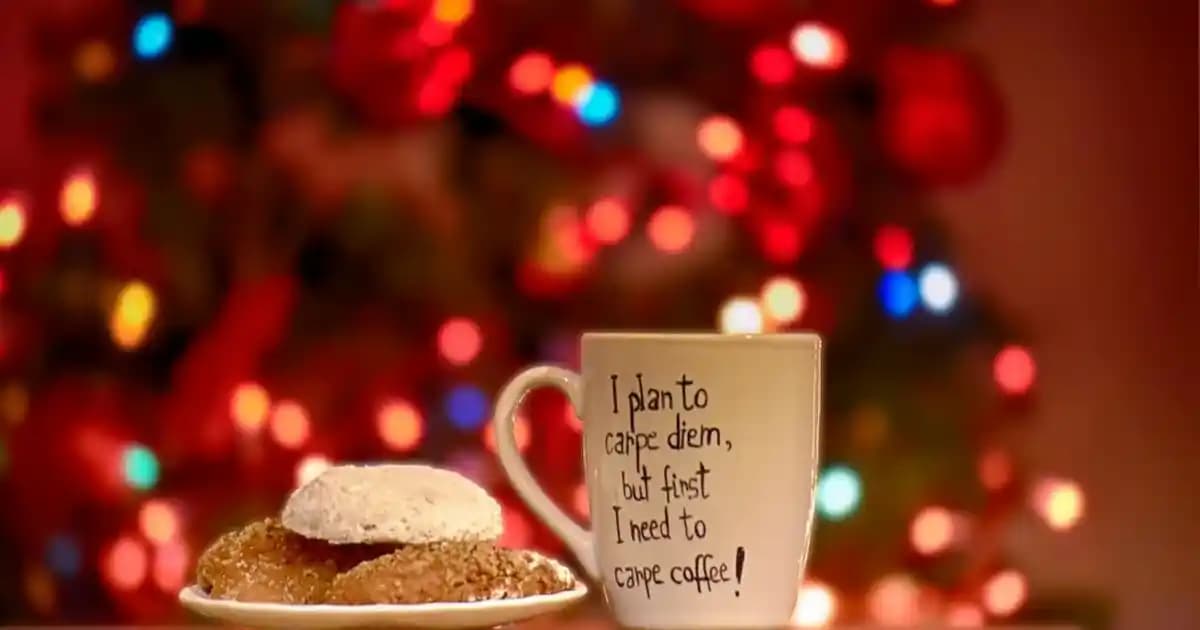 Robot Süpürgelerde Paspas Özelliği: Performans, Kullanıcı Deneyimleri ve Temizlik Stratejileri