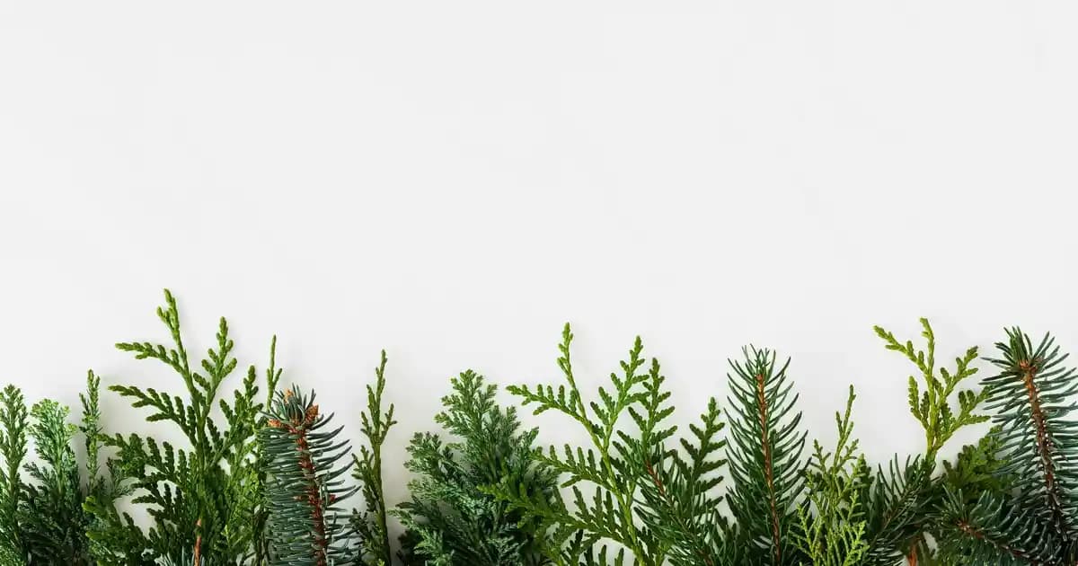 ASUS DSL-AC51 Ev ve Ofis Ağları İçin Güçlü ve Güvenilir DSL Modem ve Wi-Fi Yönlendirici