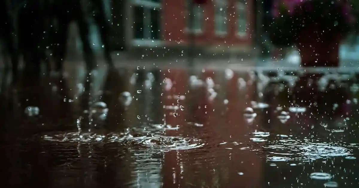 Dyson Detaylı Temizlik Setleri ile Yüksek Performans ve Hijyen Sağlayın