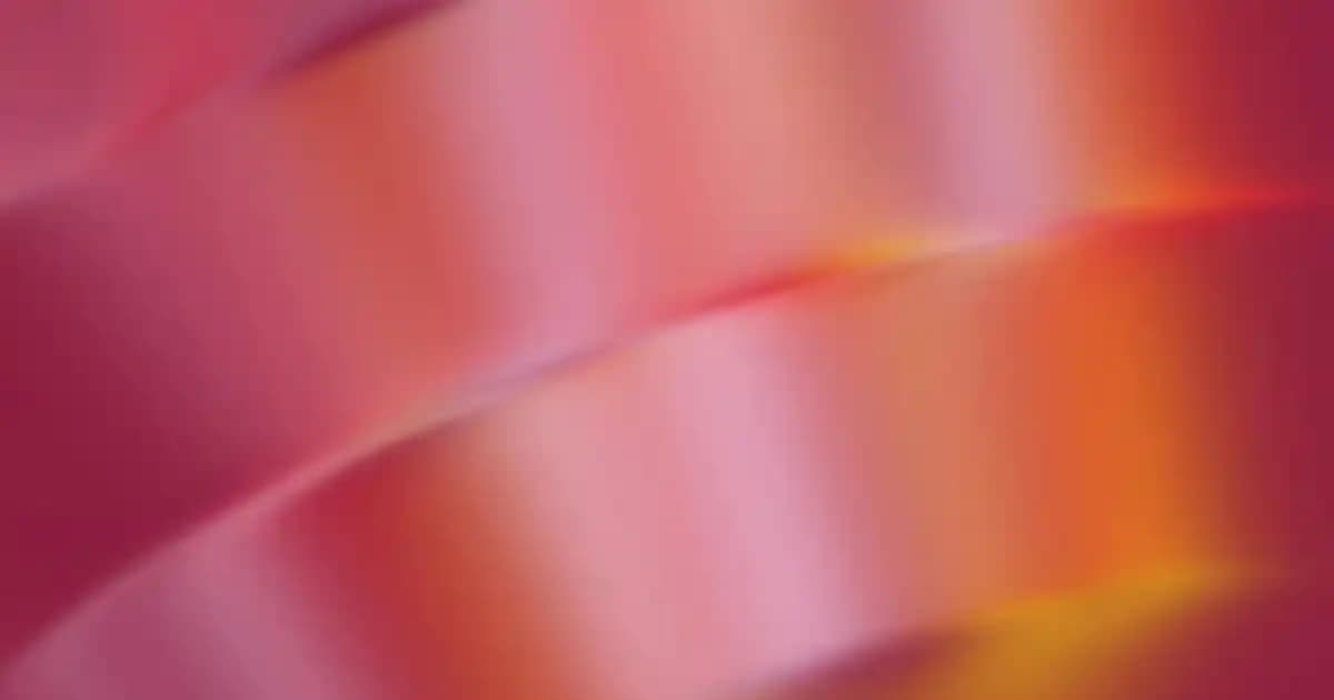 Elektronik ve Aksesuarlar İçin Dosya Düzenleyicilerin Önemi ve Kullanım İpuçları