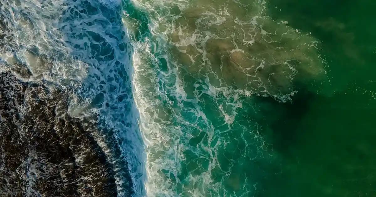 Gıda Termometresi Nedir ve Mutfakta Güvenli ve Lezzetli Yemekler İçin Nasıl Kullanılır