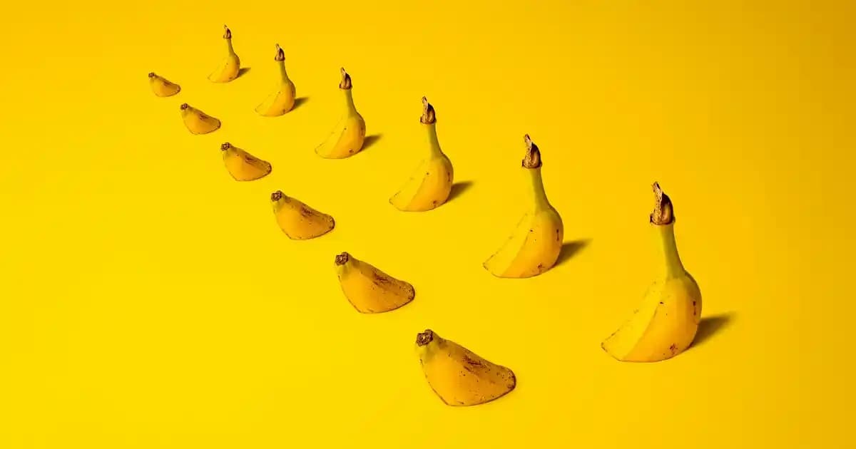 iCloud Bul ve Veri Erişimi: Apple Ekosisteminde Kaybolan Verilere Ulaşmanın Yolları