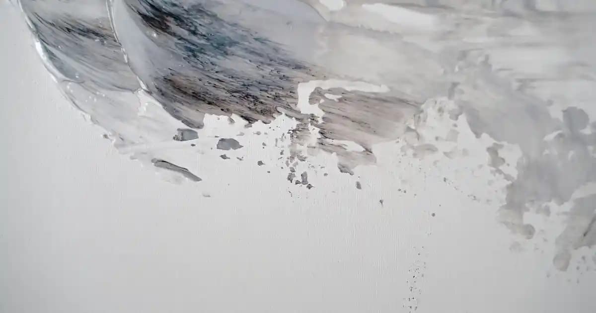 Kärcher SE 6100 Yüksek Performanslı Yüksek Basınçlı Yıkama Makinesi Özellikleri ve Kullanım Alanları