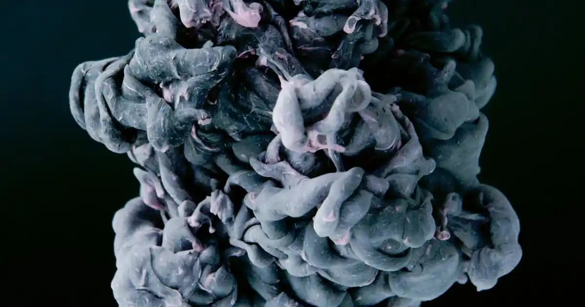 MediaMarkt'ta Kurutma Makinesi Seçimi: Modern Evler İçin Güvenilir ve Enerji Verimli Çözümler