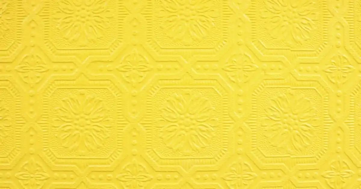 Parex cam sileceği: yüksek performanslı ve dayanıklı araç cam temizleme aksesuarı