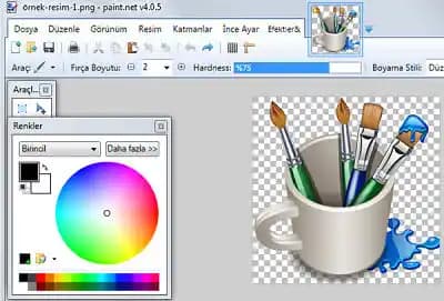 Resim Temizleme Programları: Dijital Görsellerinizi Profesyonel Şekilde Geliştirme Yöntemleri