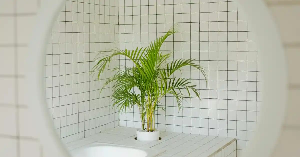 Roborock S8 Serisi: En gelişmiş robot süpürge ve paspas çözümleri hakkında detaylar