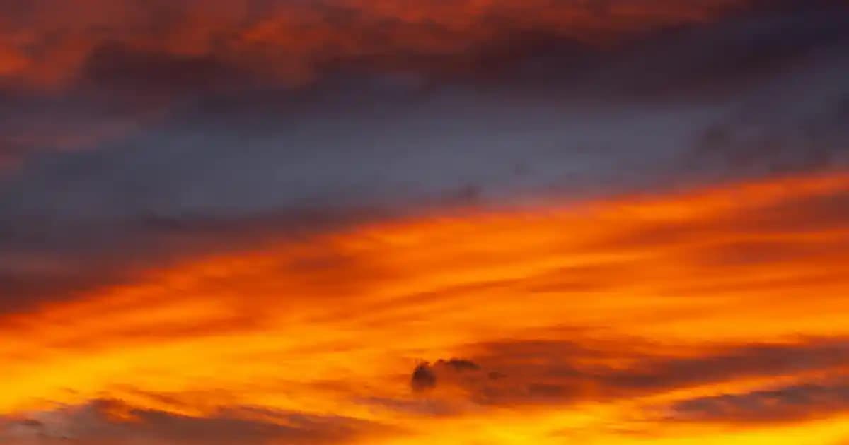 Samsung Galaxy M32 ile 2025'te Bütçe Dostu Güç ve Performansın Sırrı