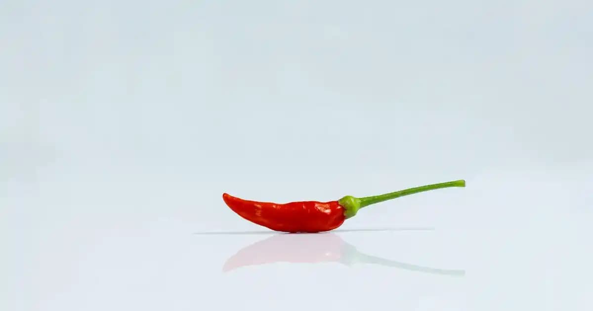 Samsung Galaxy S9 Plus ve Tabletler: Güncel Teknolojiler ve Aksesuarlar Üzerine Detaylı İnceleme