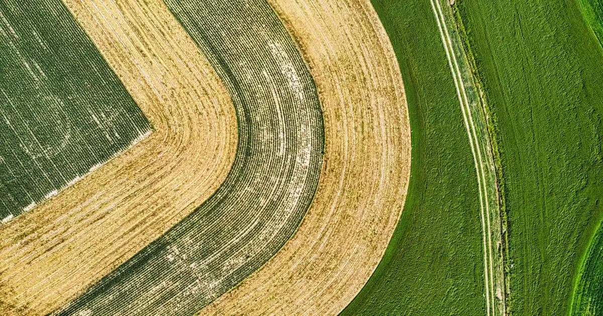Akıllı Temizlik Bezi Nedir ve Günlük Hayatta Sağladığı Avantajlar Nelerdir