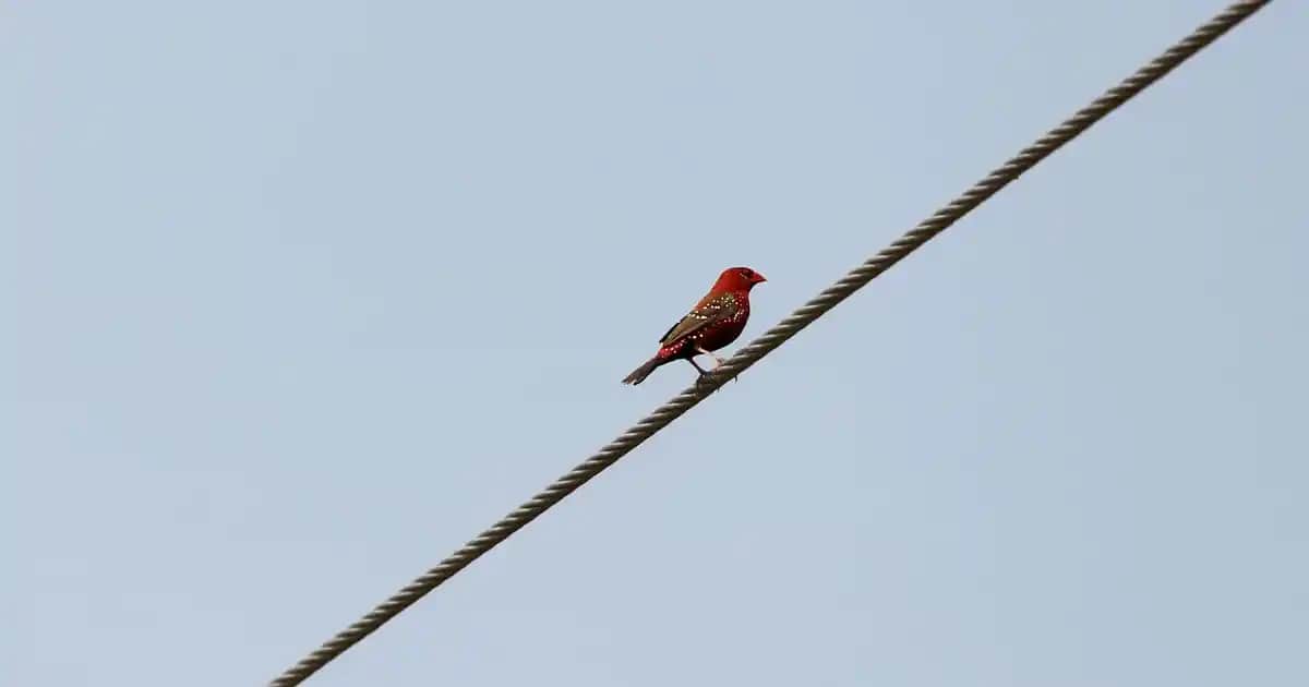 Güçlü ve Dayanıklı TV Kumandası Seçimi İçin En İyi Alternatifler ve Kullanım İpuçları